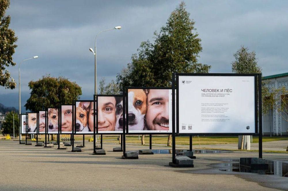 Трогательная выставка о спасенных собаках