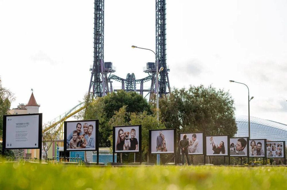 Трогательная выставка о спасенных собаках