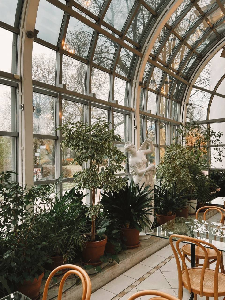 кофе в оранжерее Усадьбы Державина