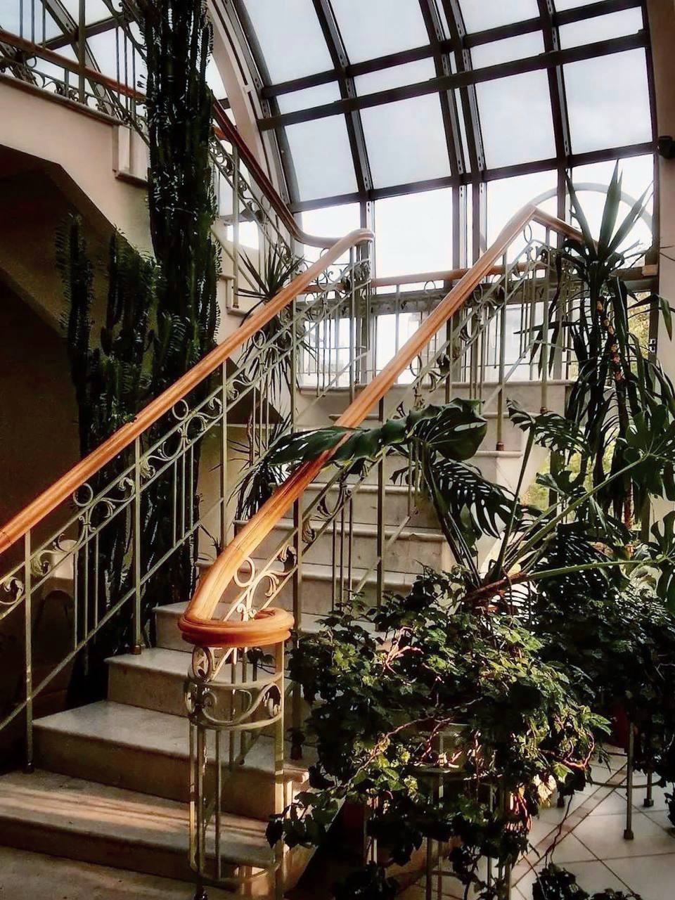 кофе в оранжерее Усадьбы Державина