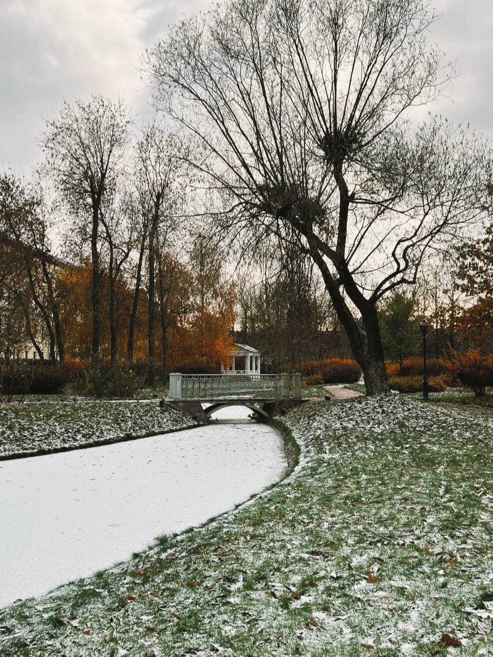 кофе в оранжерее Усадьбы Державина