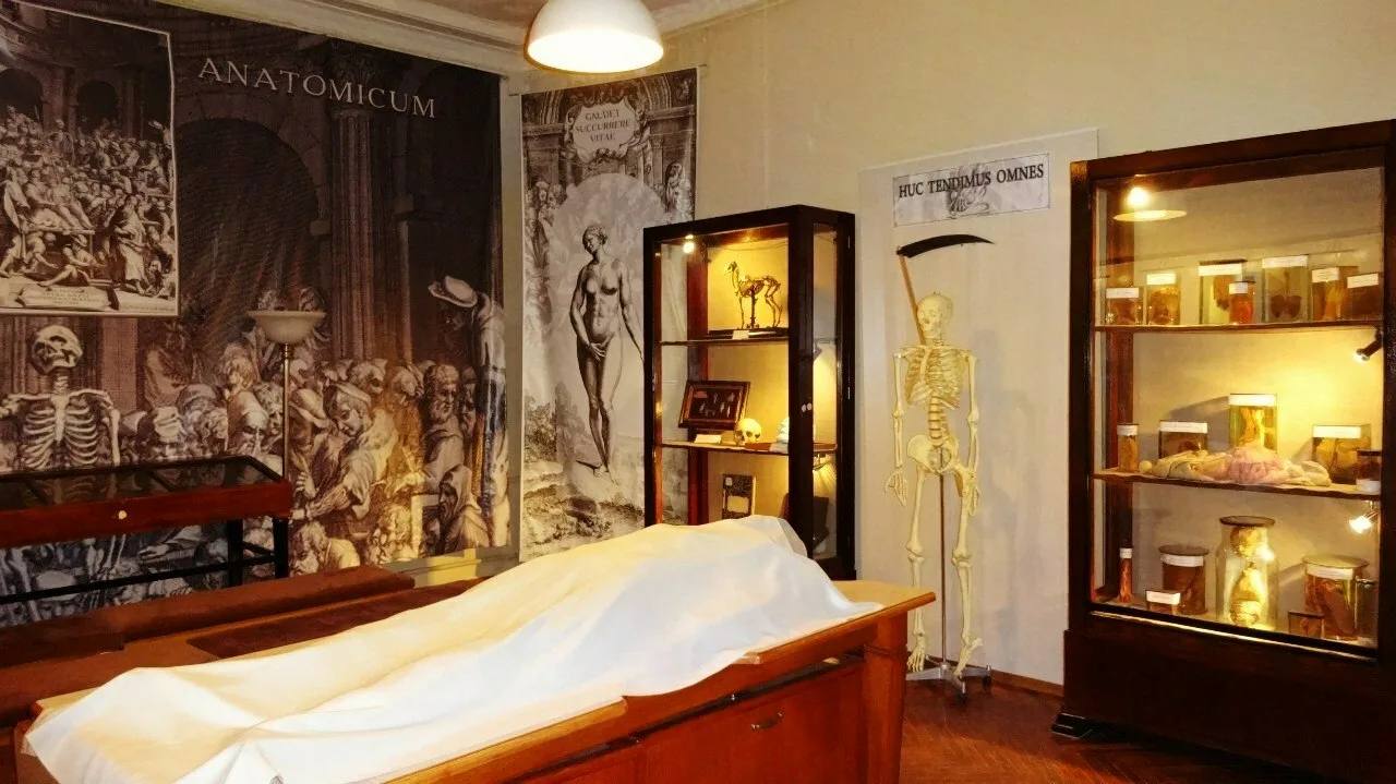 Бесплатное посещение музеев ко Дню защитника Отечества