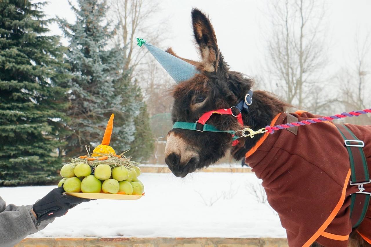 День рождения Бурашека