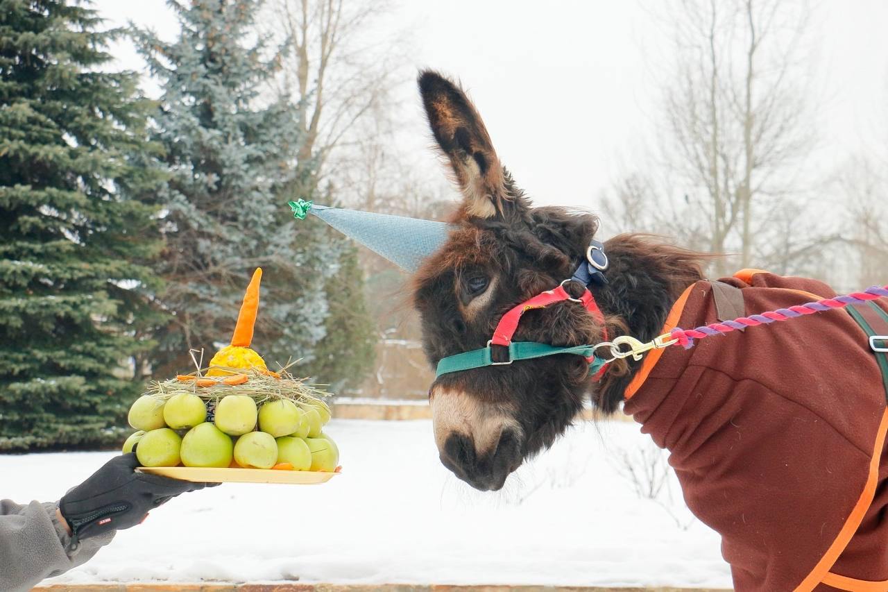 День рождения Бурашека