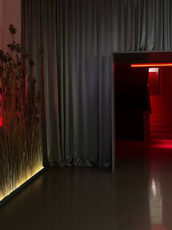 Самый стильный кинотеатр Питера