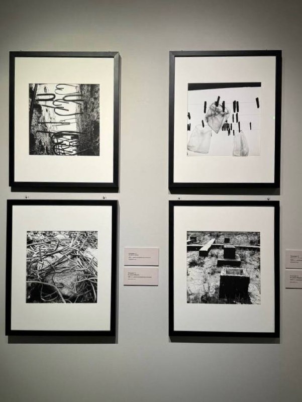 Выставка «За стеной идеологии»