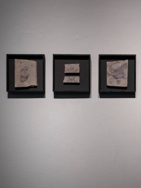 Выставка Дани Пирогова «Дикое подземное»