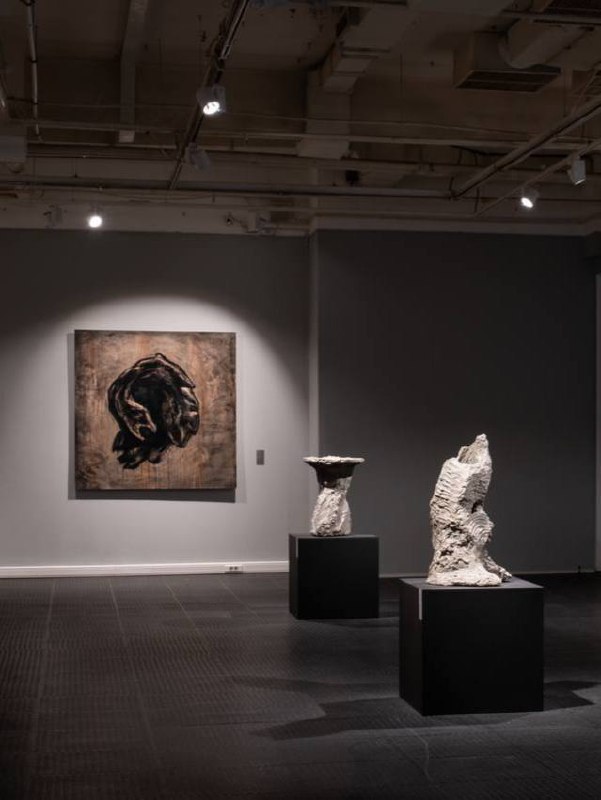 Выставка Дани Пирогова «Дикое подземное»