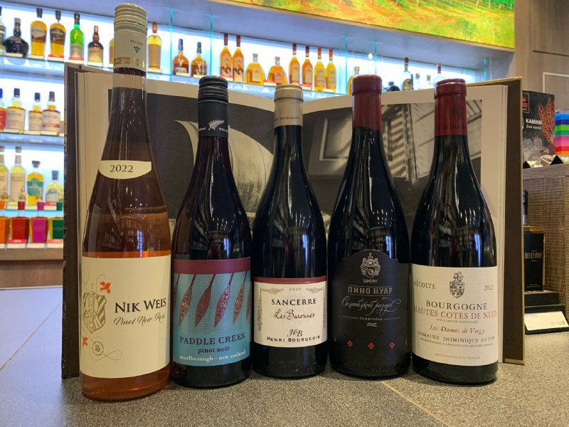 Все оттенки пино нуара