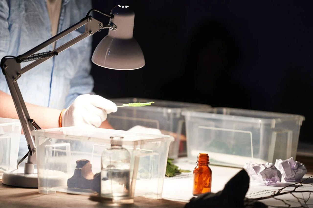 Театральная площадка УЗЕЛ