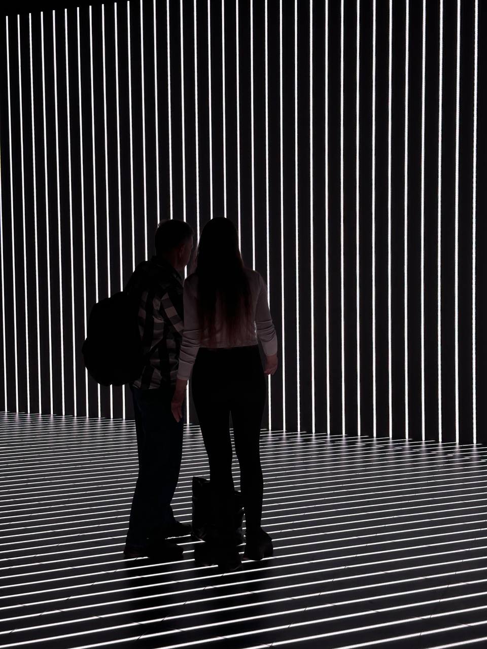 Новая вау-выставка в «Цистерне»