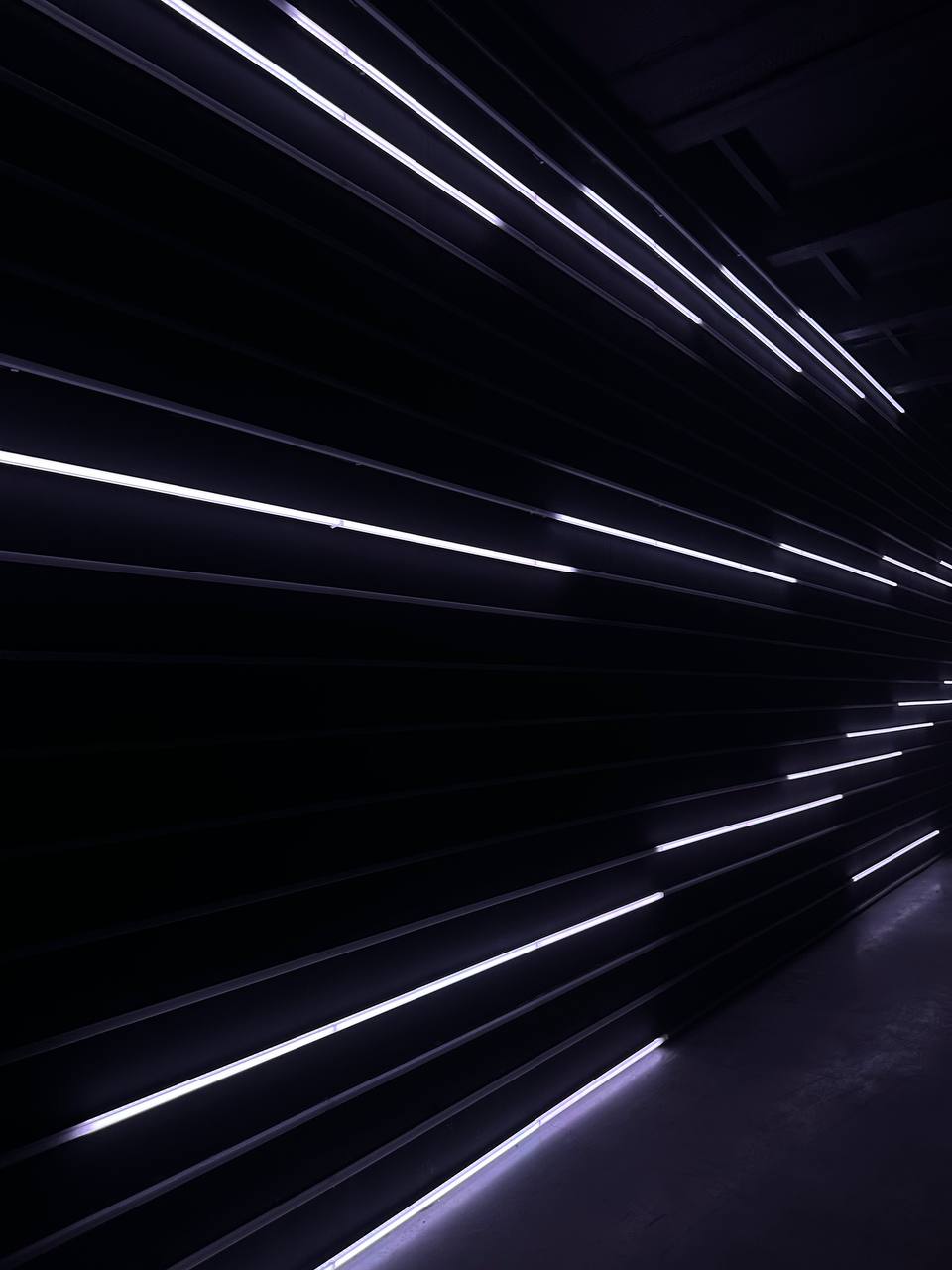 Новая вау-выставка в «Цистерне»