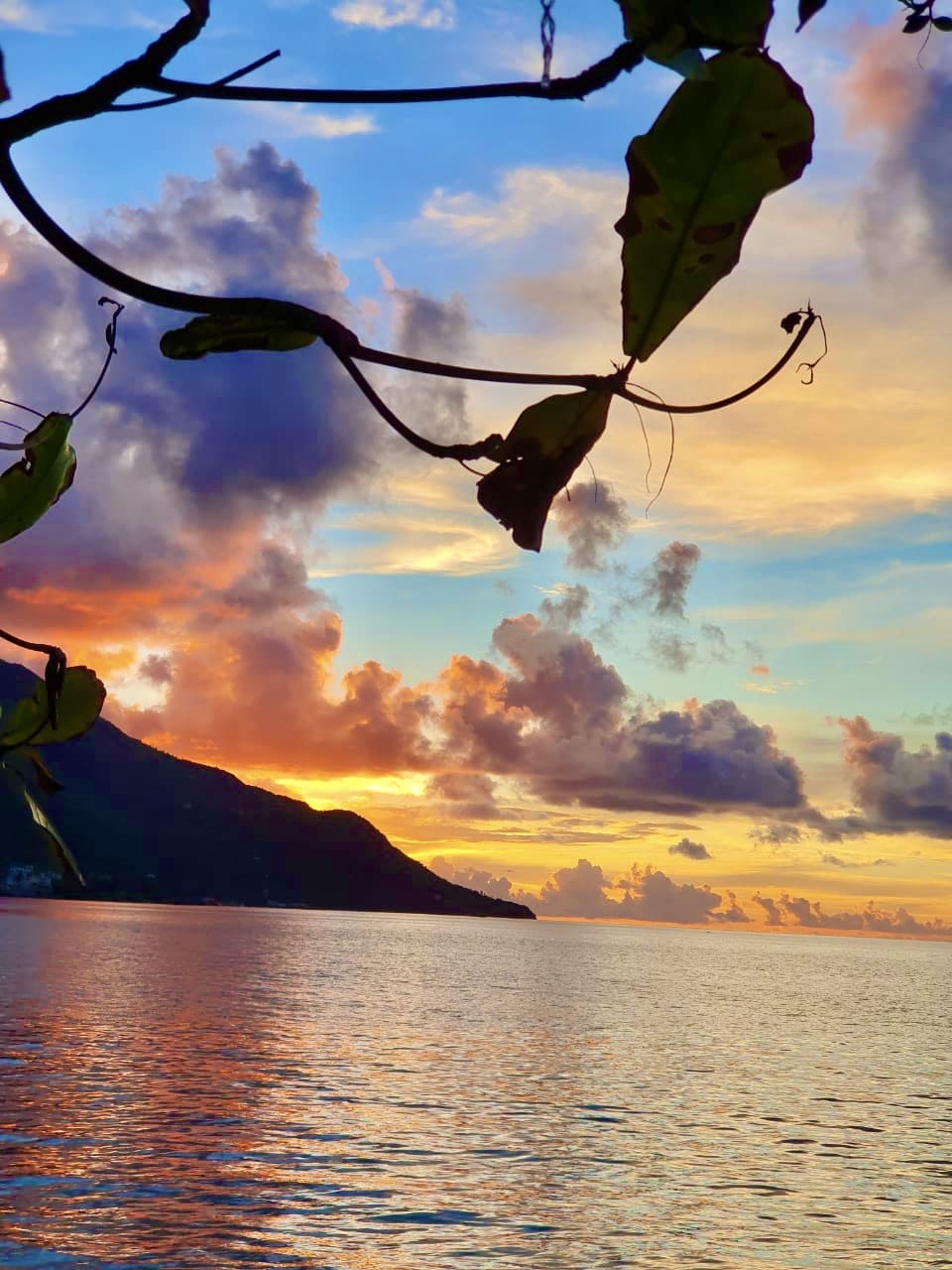 Путешествие на яхте по Сейшелам