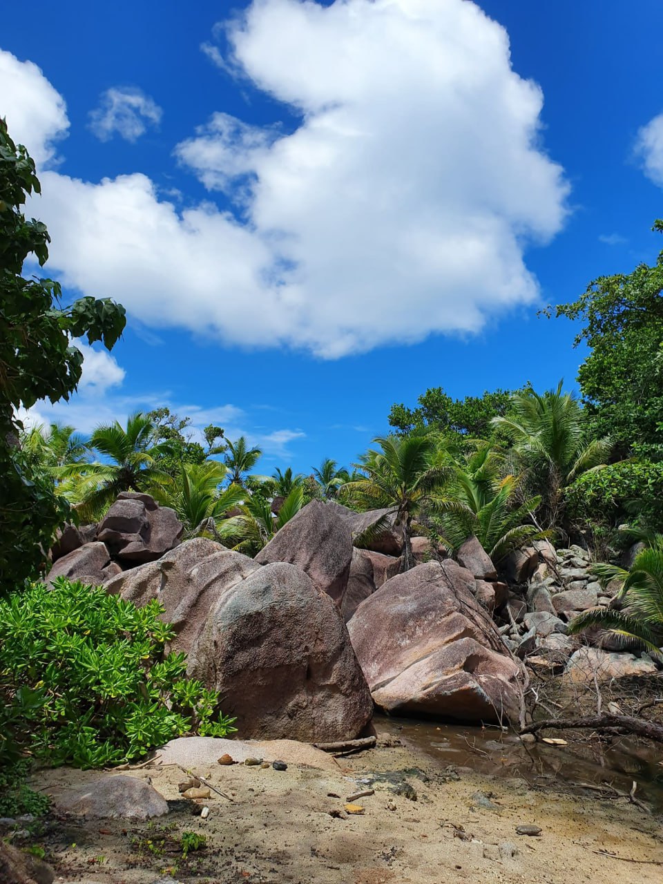 Путешествие на яхте по Сейшелам