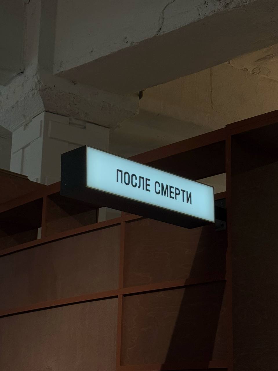 Любовь в авангарде. Михаил Матюшин и Елена Гуро