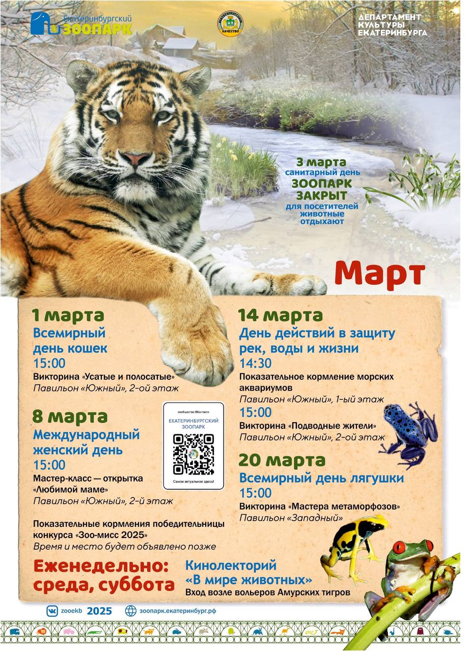 Программа на март