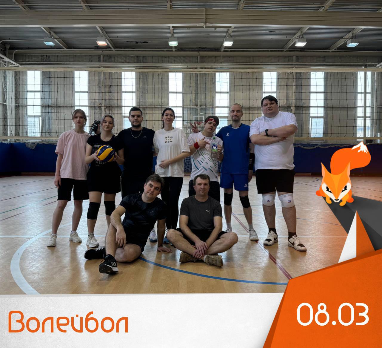 Волейбол (игра)