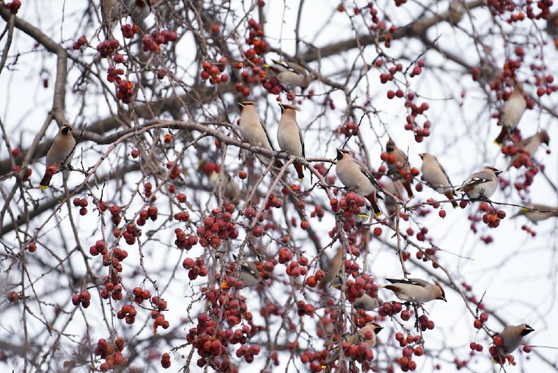 Эволюция восприятия смерти