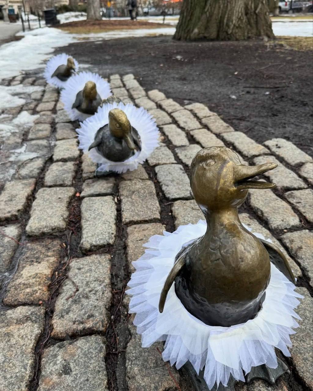 Лебединое озеро. Золушка