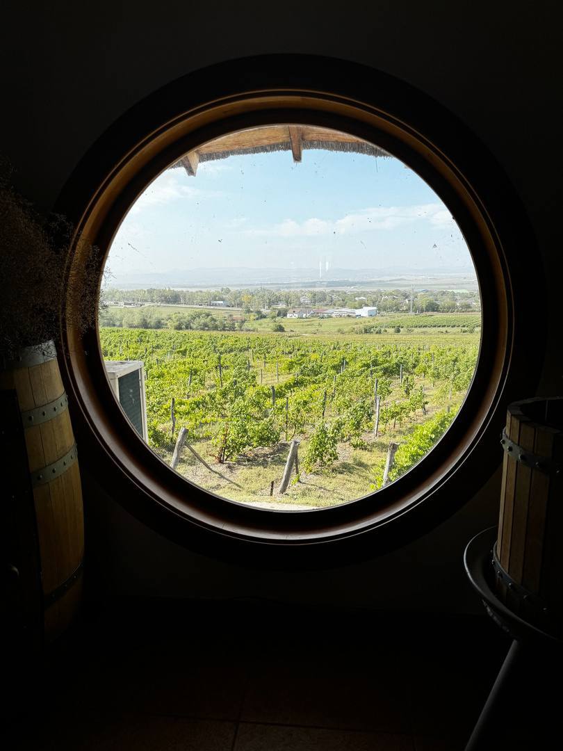 Усадьба Семигорье: вино и улитки