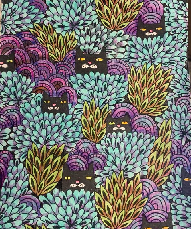 Кототерапия