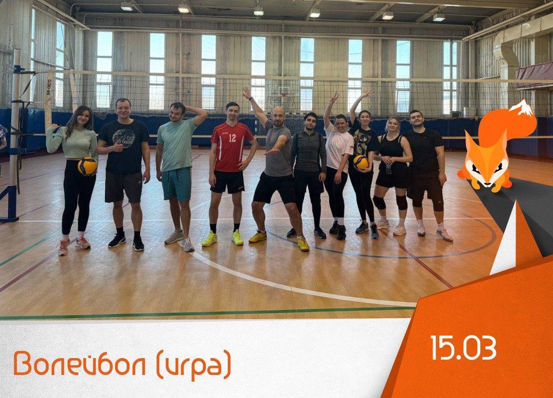 Волейбол (игра)