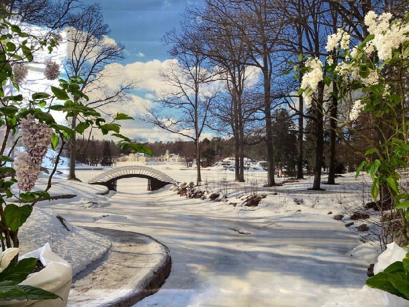 Прогулка в парк Монрепо