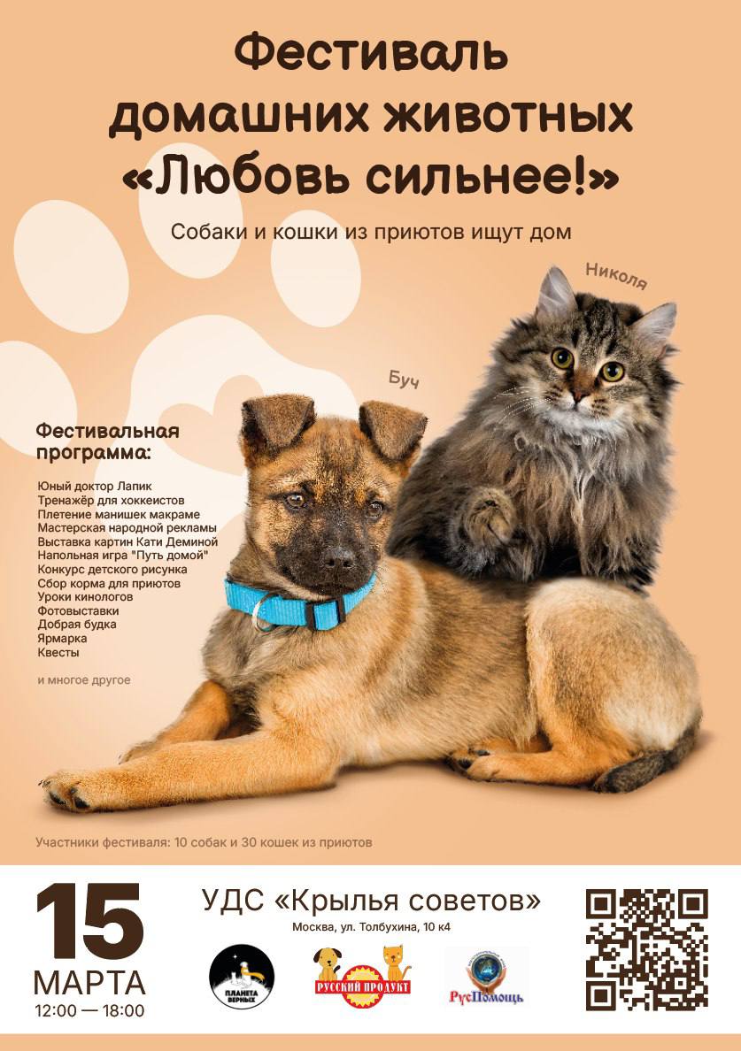 Благотворительный семейный фестиваль «Любовь сильнее»