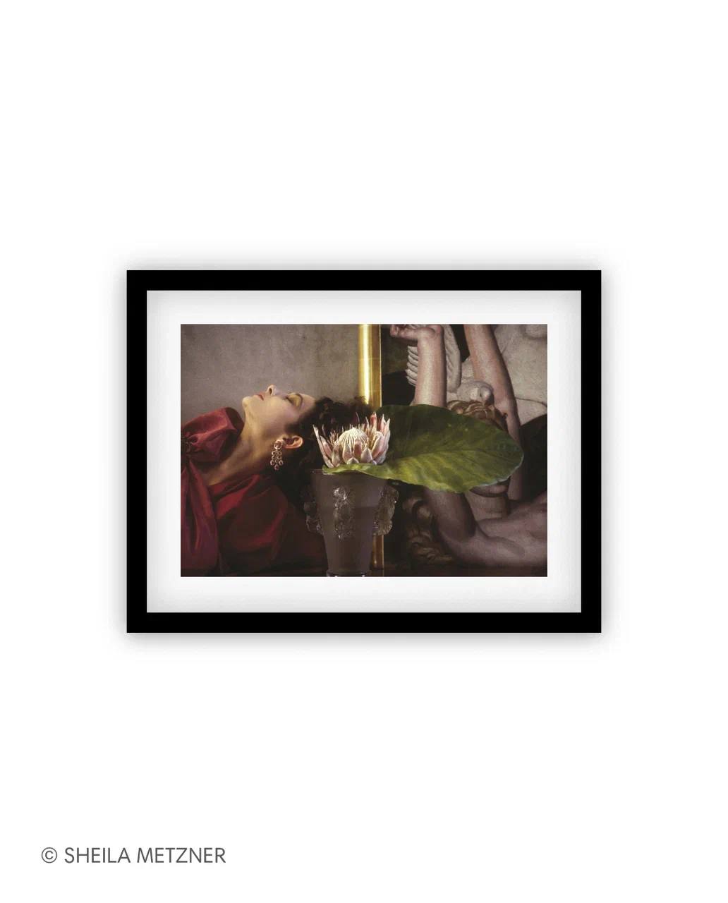 Частный выбор. Ман Рэй, Кертес, Блюменфельд. Из коллекции Культурного центра Михайлово