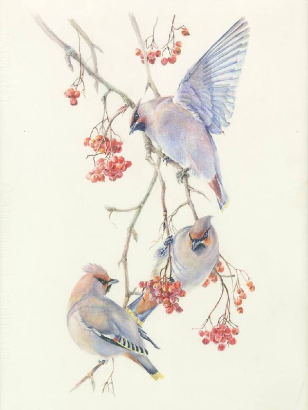 Целый музей бесплатных выставок