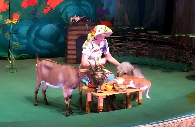 Творческая встреча, приуроченная к 125-летию со дня рождения Анны Владимировны Дуровой-Садовской