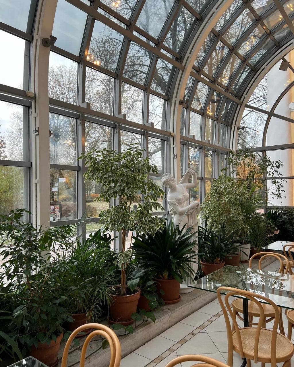 Островок вечного лета в центре