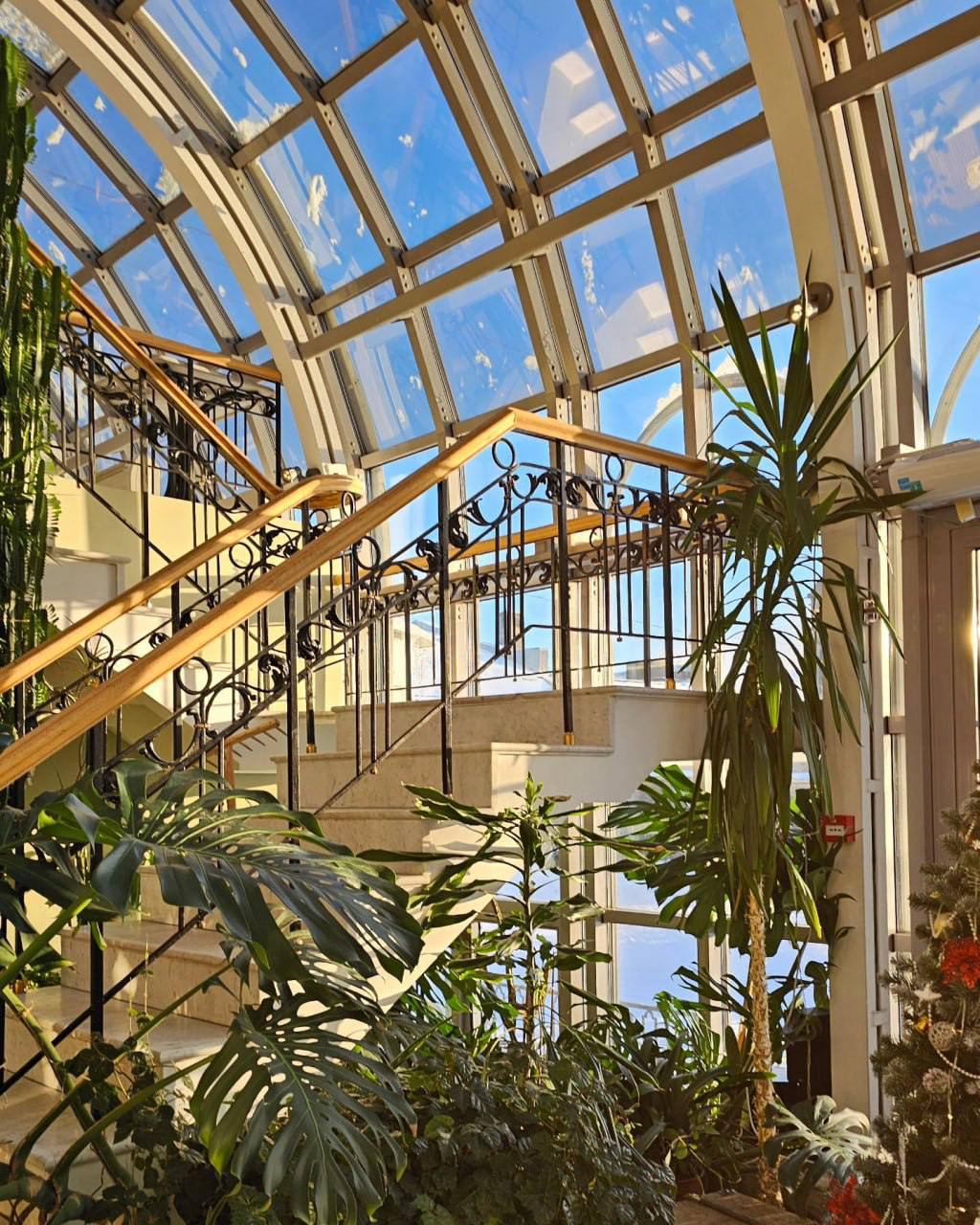 Островок вечного лета в центре