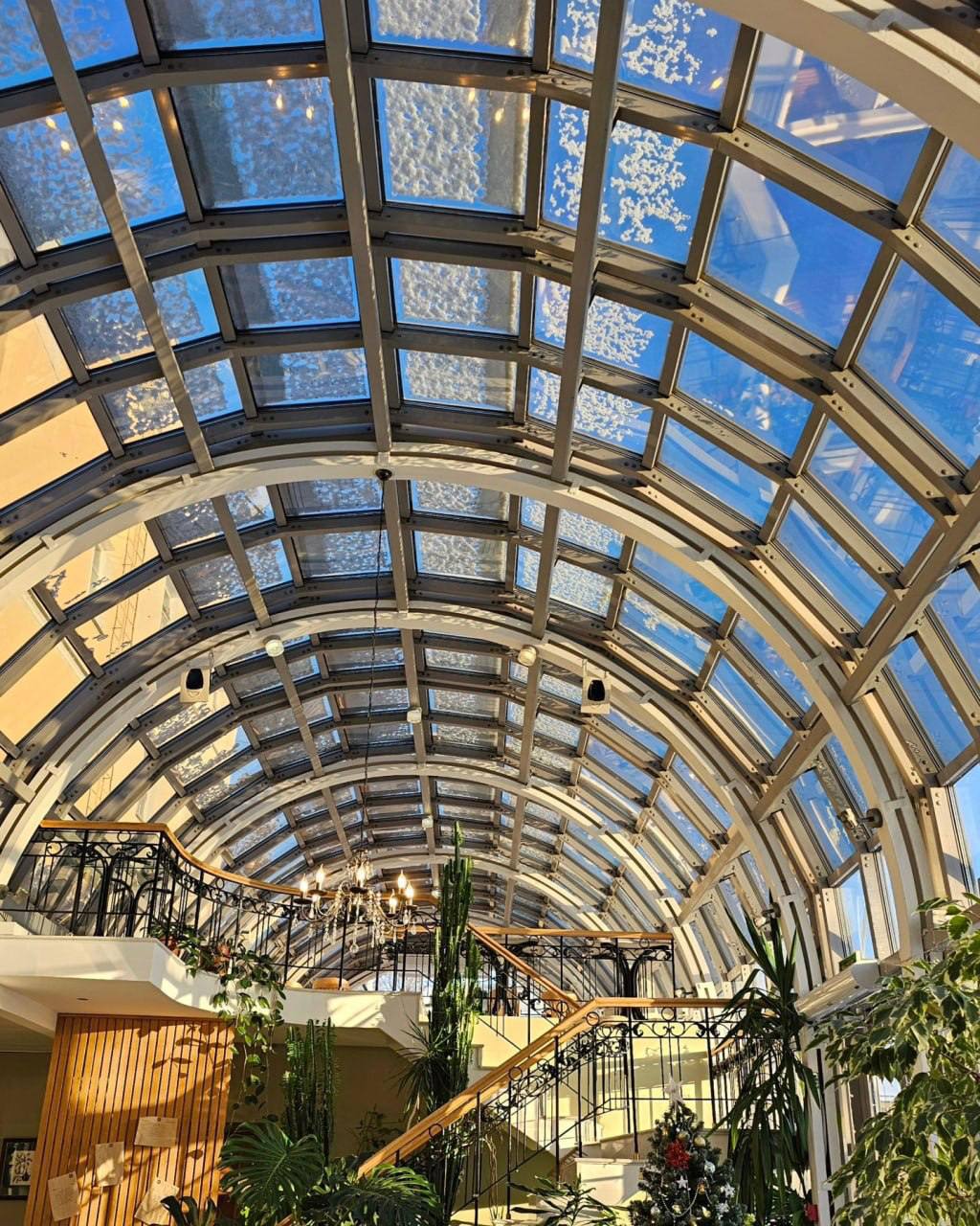 Островок вечного лета в центре