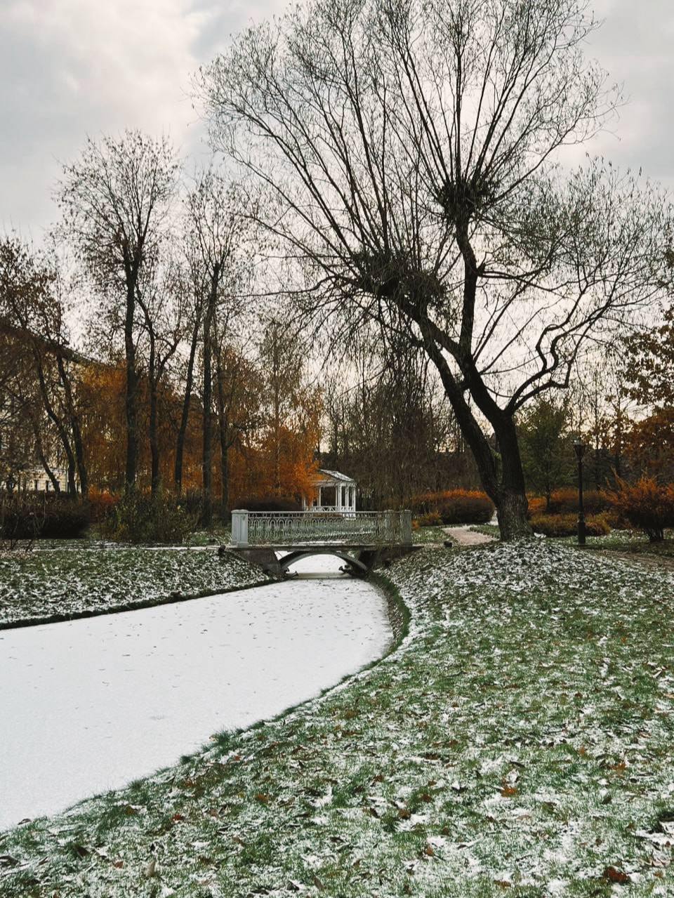 Островок вечного лета в центре