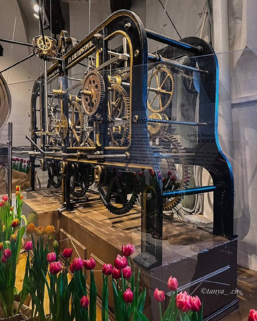 Фестиваль тюльпанов