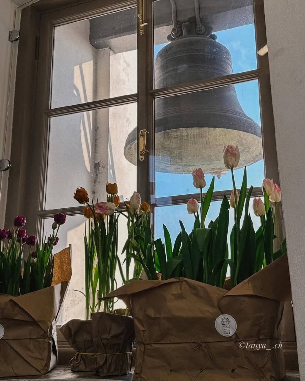 Фестиваль тюльпанов