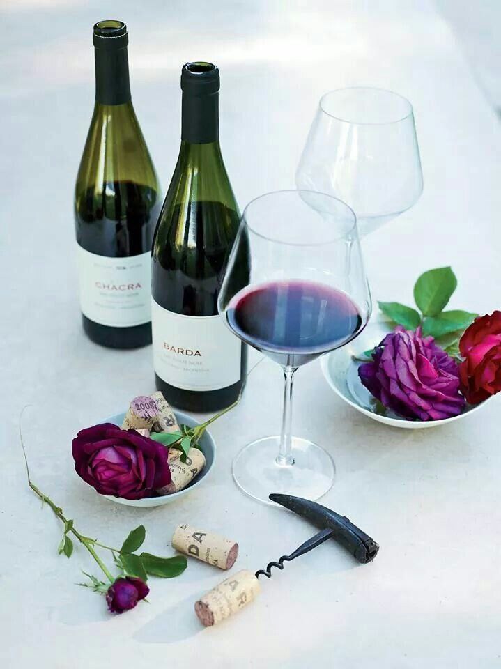 Винная дорога Аргентины: из Мендосы в Патагонию