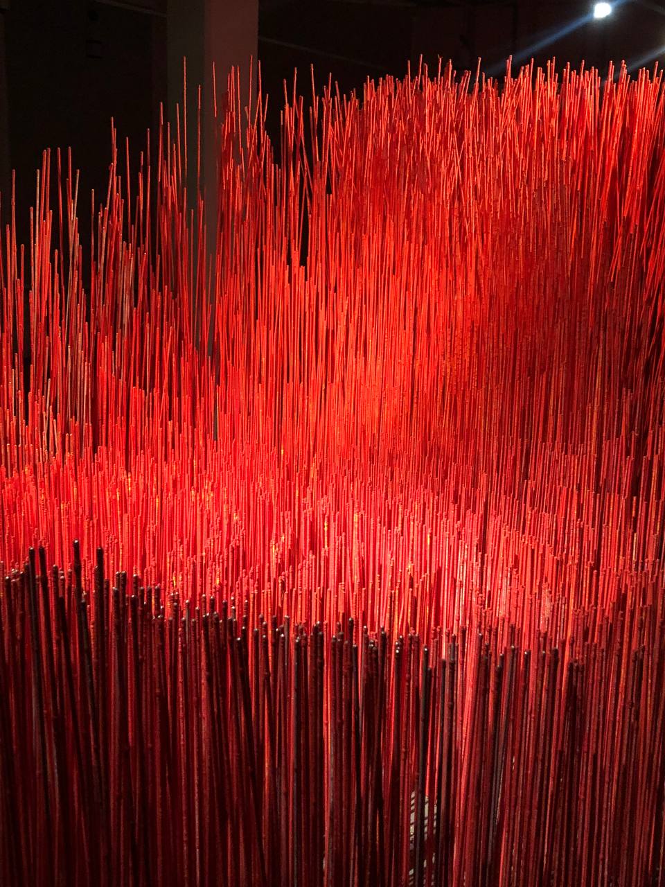 В круге цвета. Красный