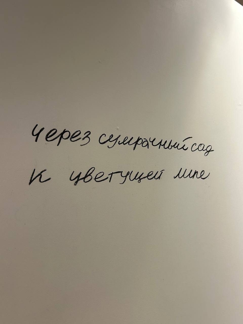 Выставка «Липовый цвет» в L.E. Gallery