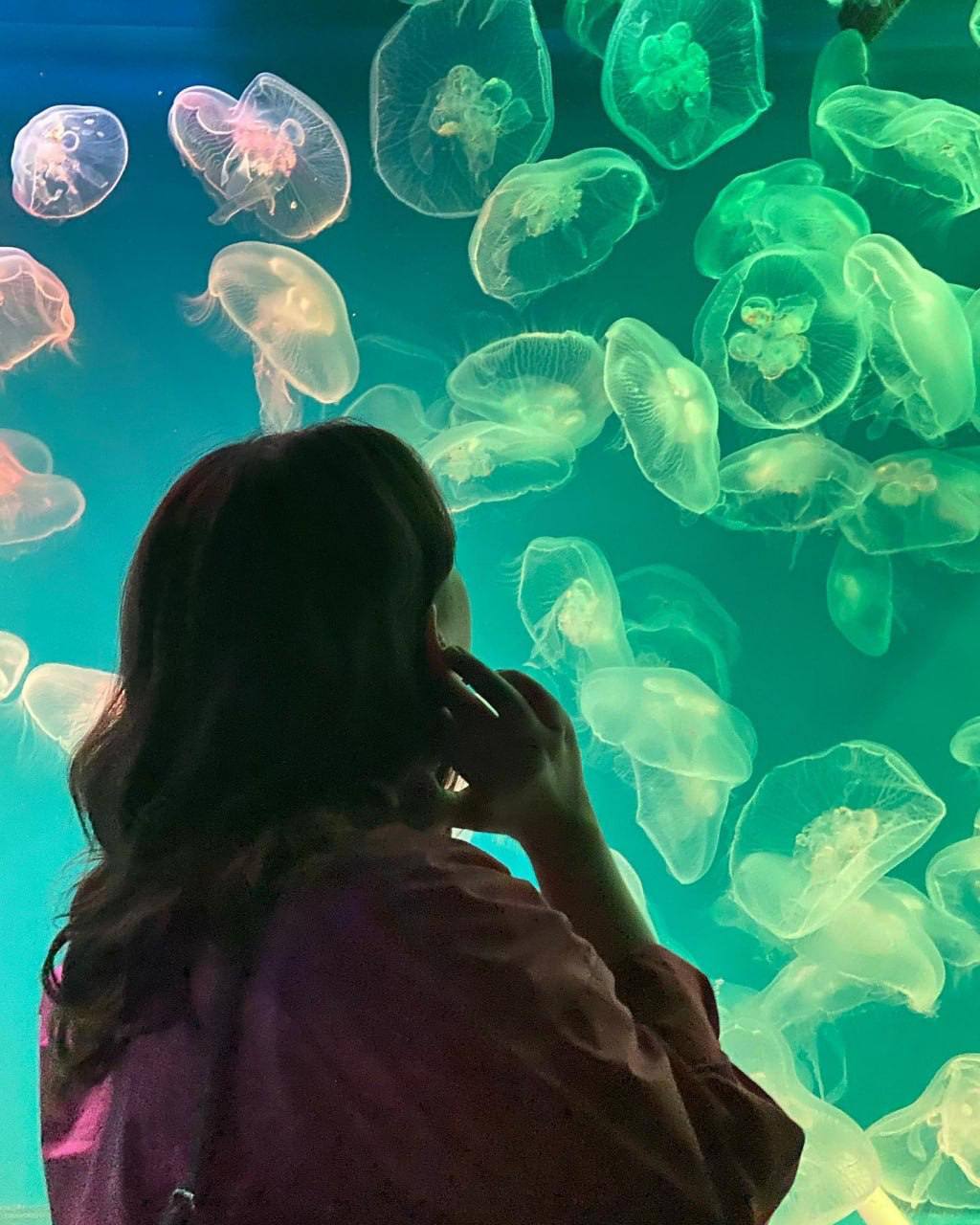 Изучаем подводный мир