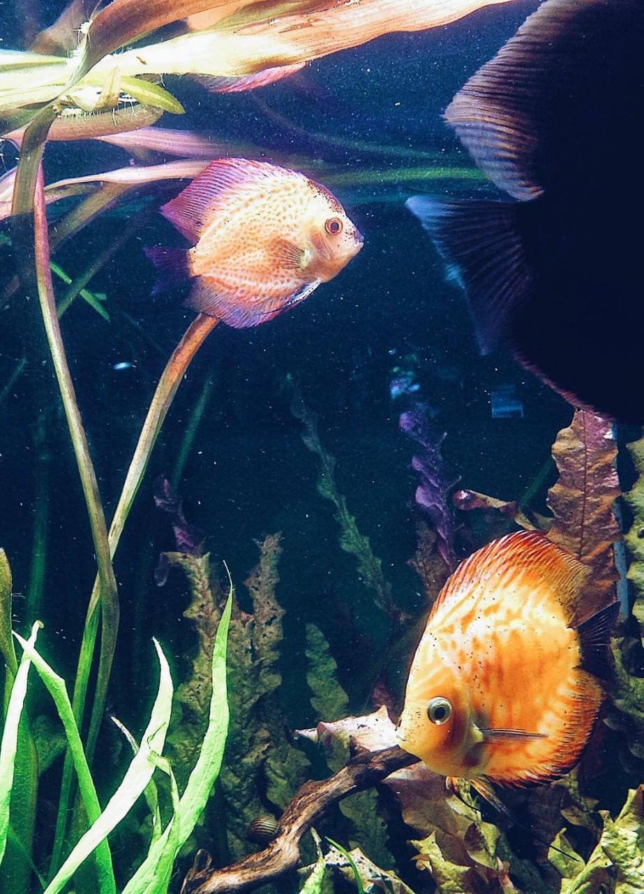 Изучаем подводный мир