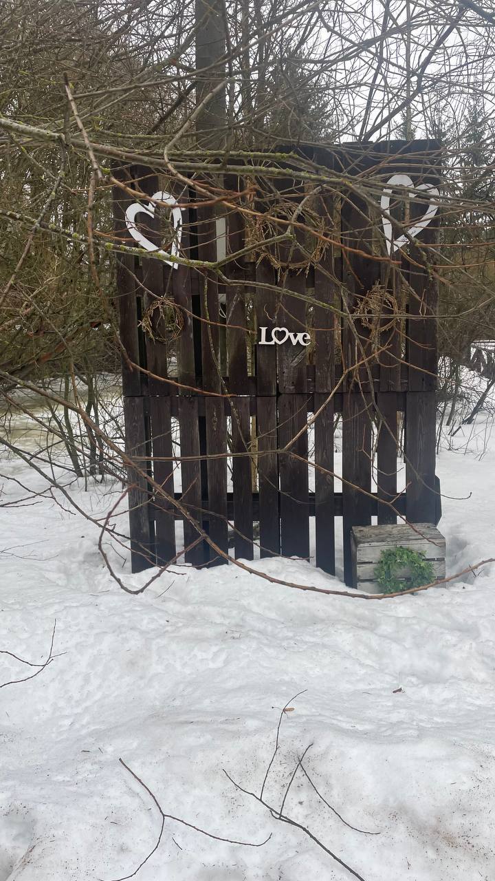 Возвращение к романтизму