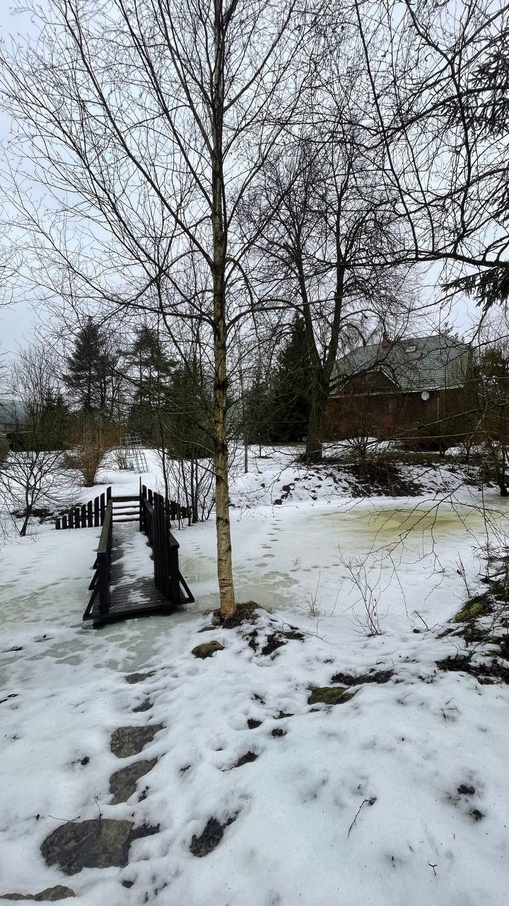 Возвращение к романтизму