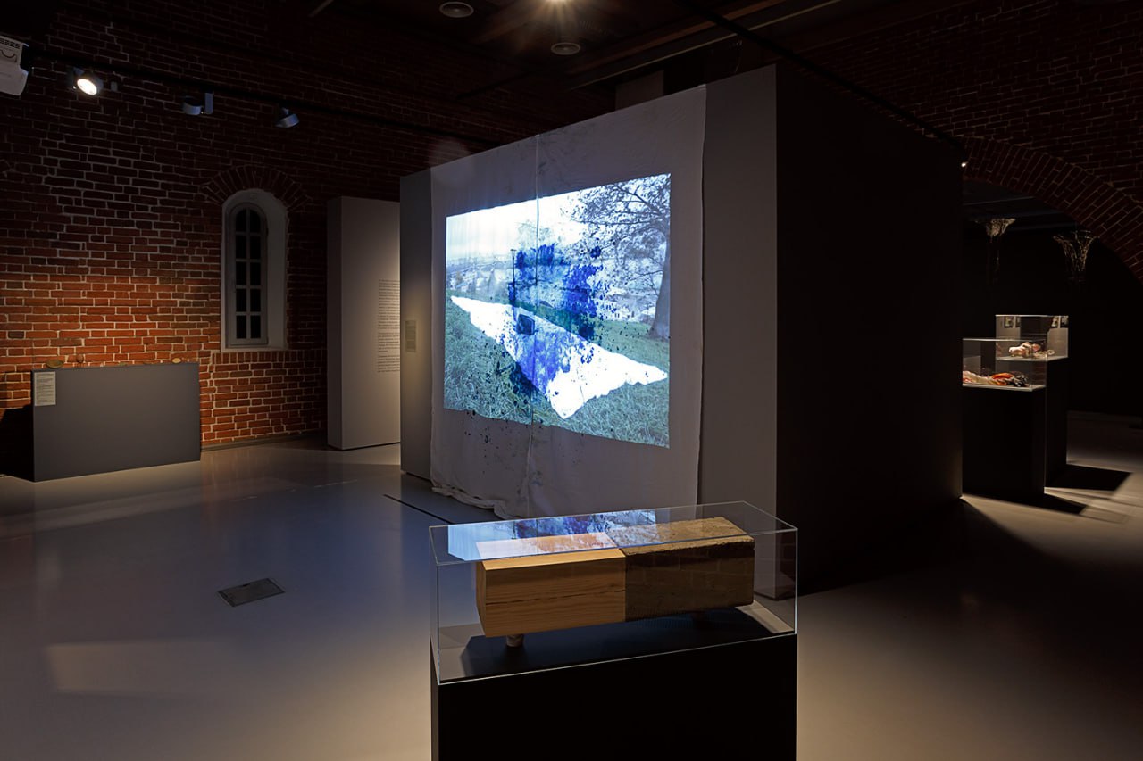 «Позволяя чувствовать» по выставке «Хрупкость»