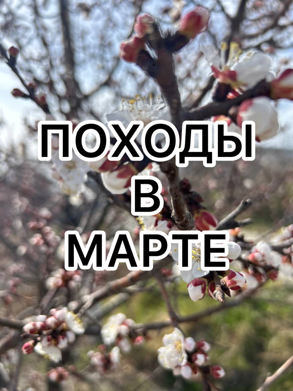 Походы на март