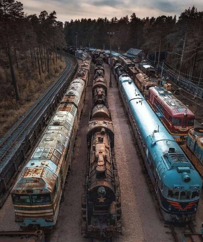 Паровозы в Лебяжье