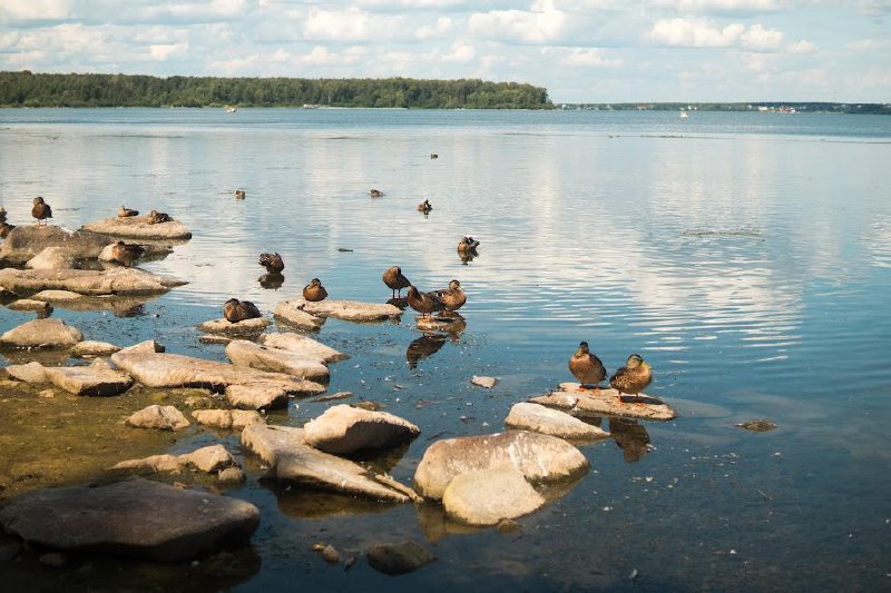 Поп-ап-площадка «Наш Шарташ»