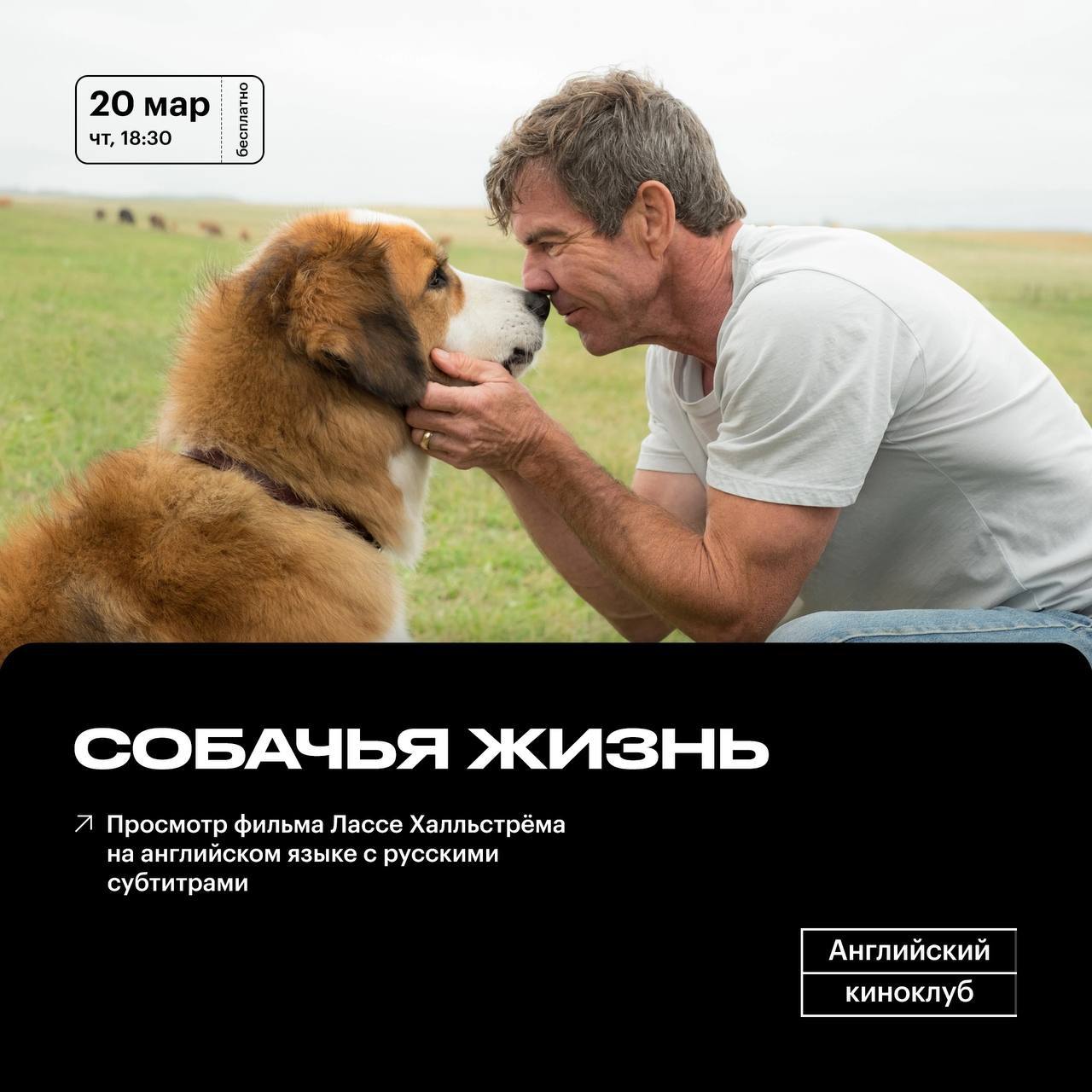 Английский киноклуб: фильм «Собачья жизнь».