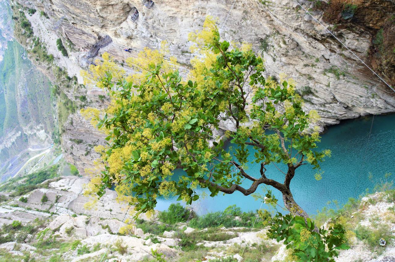 Тур в Дагестан, Грозный и Чечню